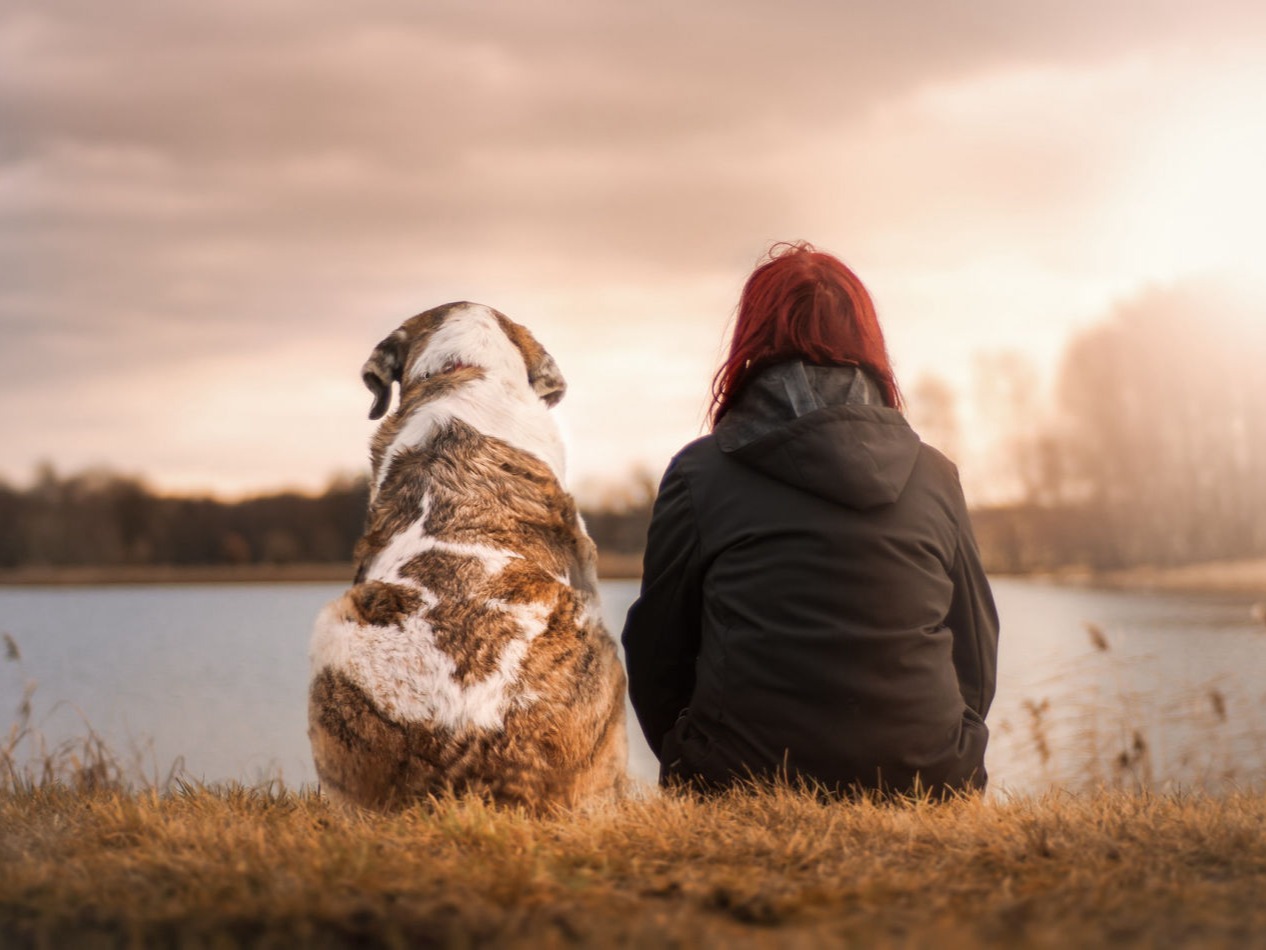 Vacanze con il cane sul Renon