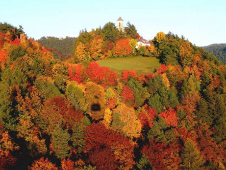 Appartamenti vacanze Waldegg Renon