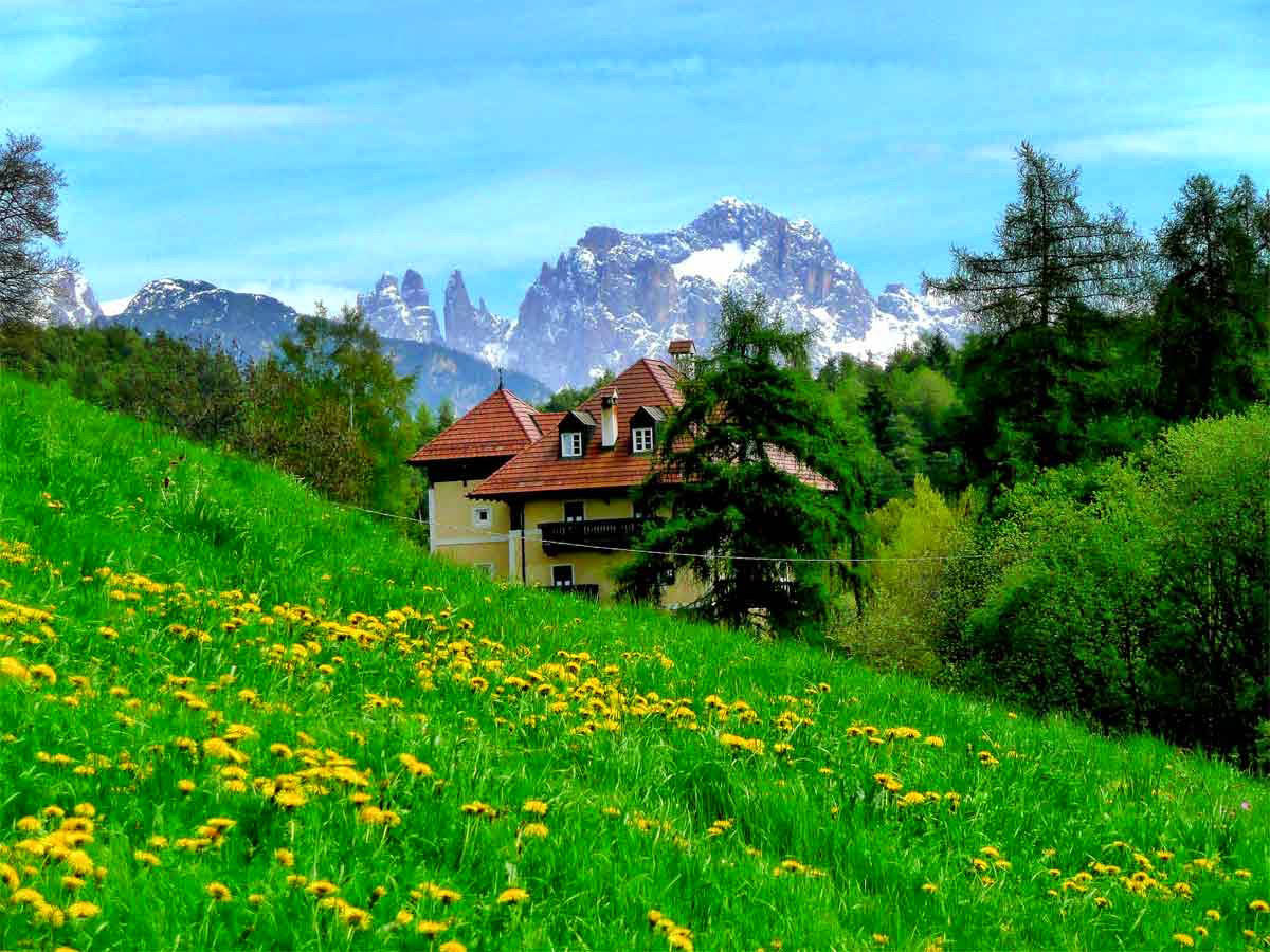 Ferienwohnungen Waldegg Apartments Ritten