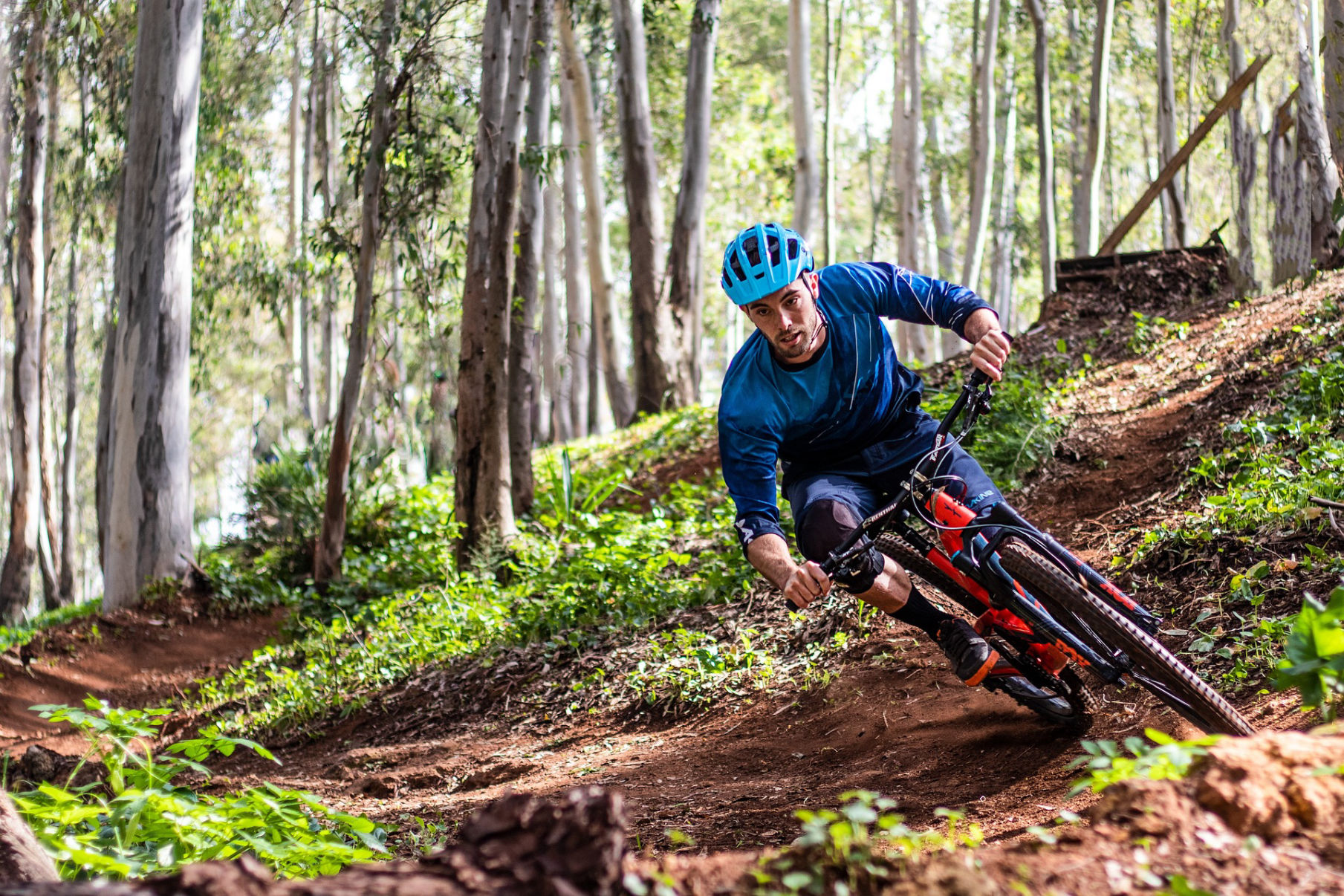 Appartamento vacanze Waldegg Renon - Mountain Bike